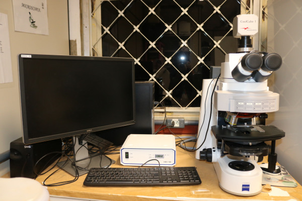 Microscópio de epifluorescência com monitor - software Zeiss, caolcube-_software_Zeiss__caolcube.JPG
